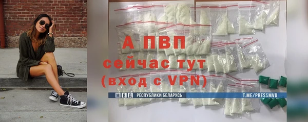 стаф Аркадак
