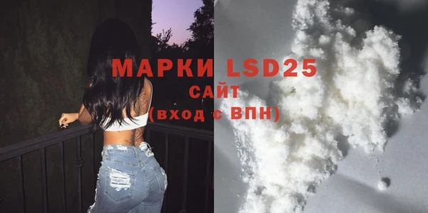 стаф Аркадак