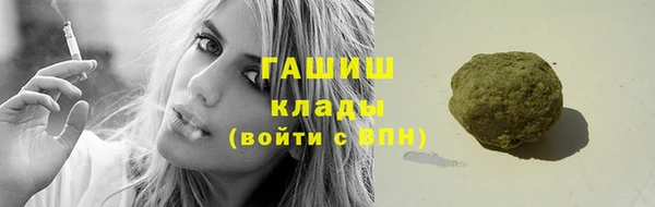 стаф Аркадак