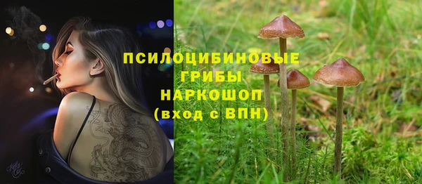 прущая мука Армянск