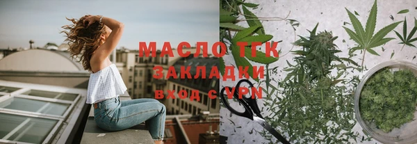 стаф Аркадак