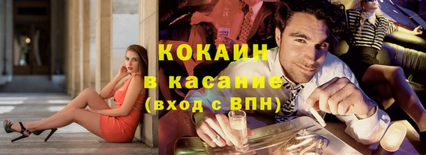стаф Аркадак