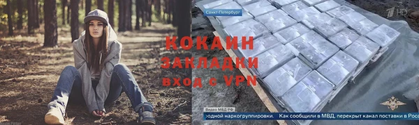 стаф Аркадак